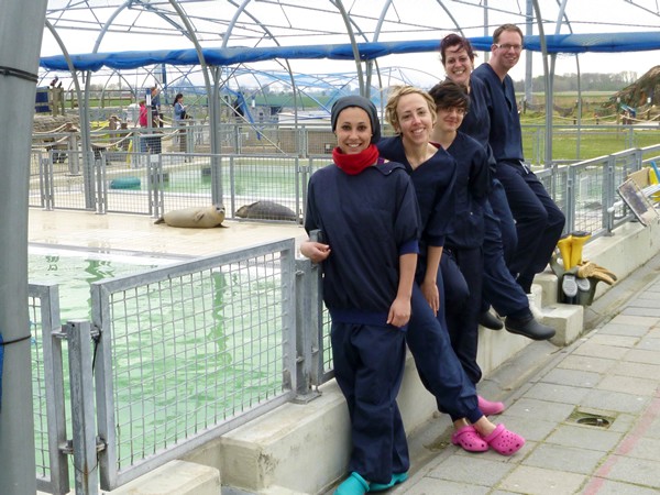 Medewerkers bij de zeehondencrèche