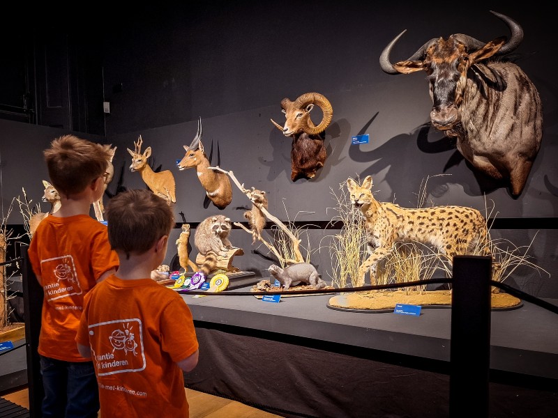 Een gedeelte van de inzendingen voor tentoonstelling Zet 'm Op