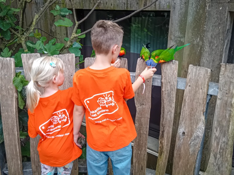 Onze kinderen voeren de vogels. Ontzettend leuk om te doen, zo zie je de kleurrijke dieren van dichtbij