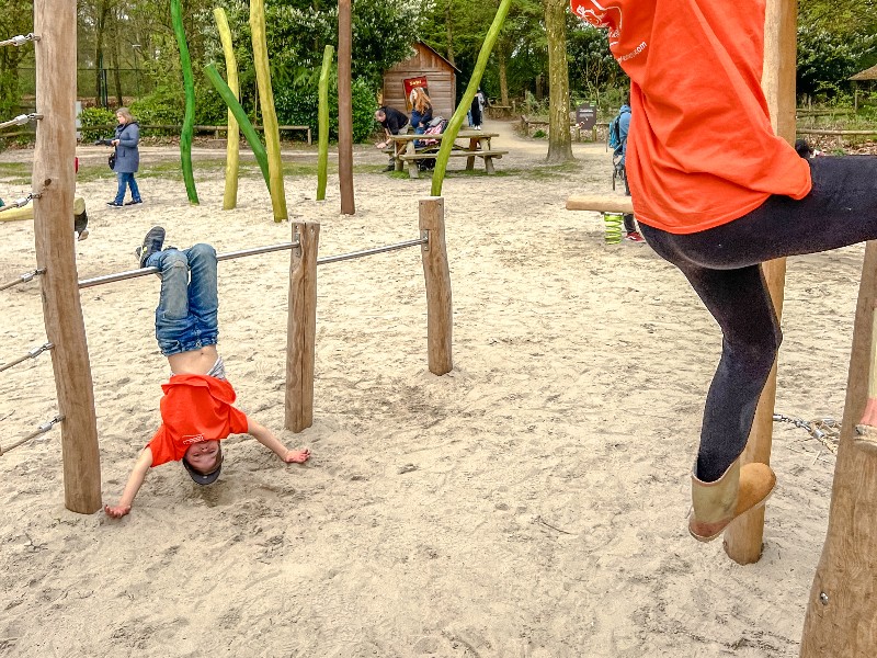 De kinderen spelen in de relatief nieuwe speeltuin van ZooParc overloon. Maar er staan nog veel meer leuke nieuwe plannen voor het park gereed!