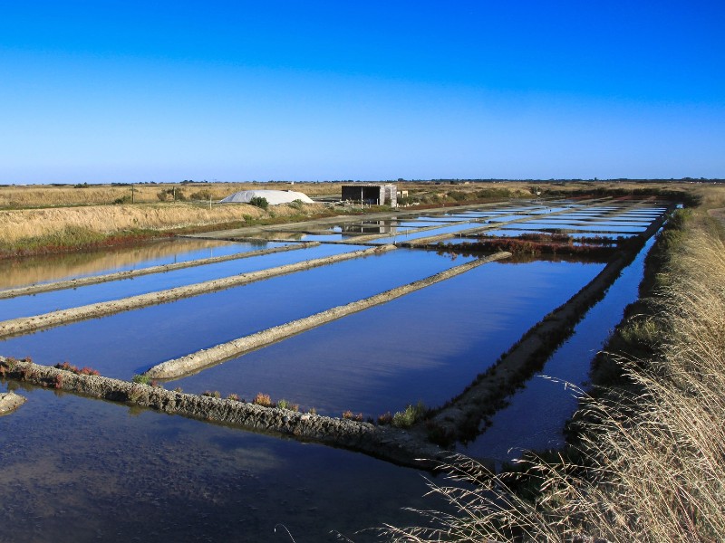 Zoutpannen op het eiland Nourmoutier