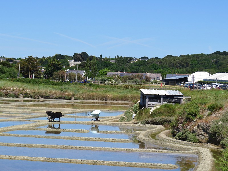 De zoutvelden in Loire Atlantique