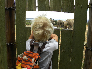 Olifanten kijken in de hide bij Addo Olifant park