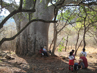Met de lokale kids zijn we aangekomen bij de grote baobab