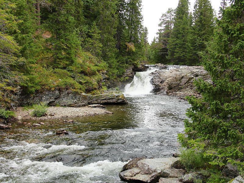 De prachtige natuur in Zweden