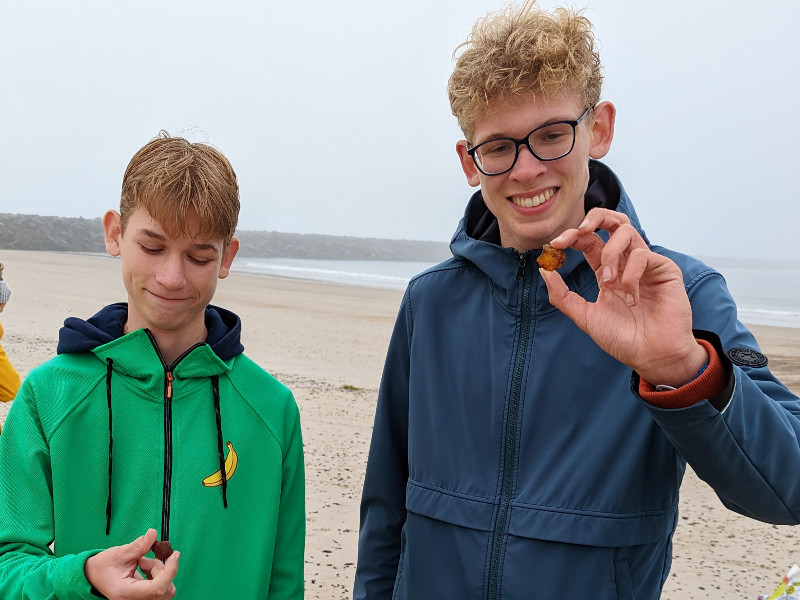 Het mysterieuze barnsteen spoelt regelmatig aan op de stranden van Denemarken. Wat is het, en waar kan je het vinden? Je leest het hier!