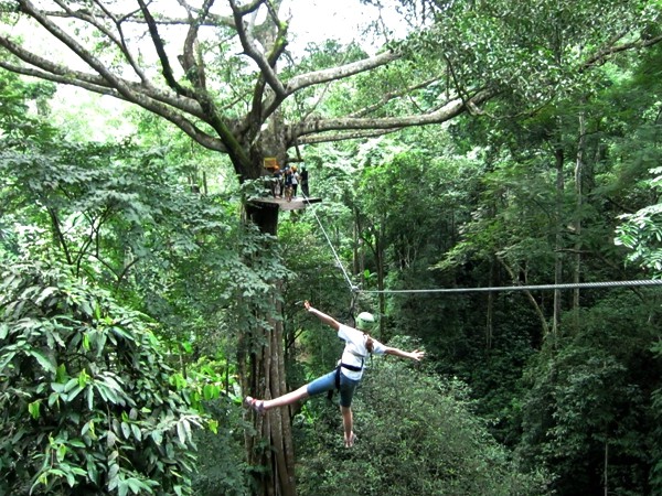 Ziplinen door de jungle van Noord-Thailand